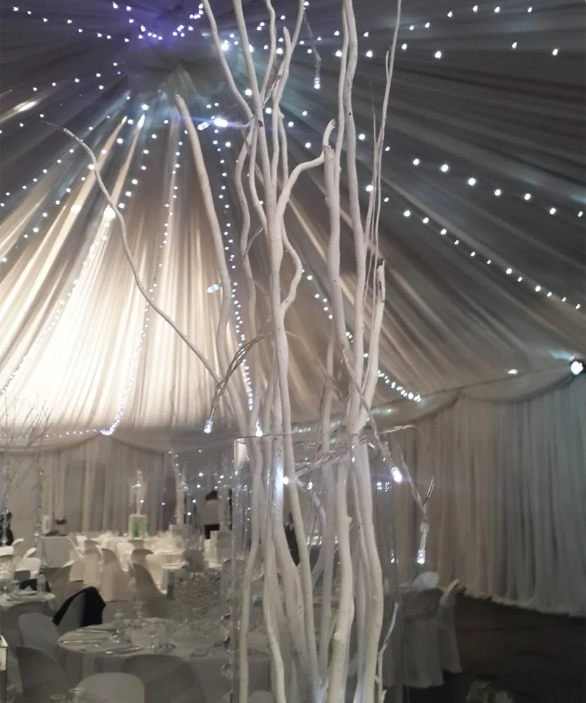 White branches and fairy lights inside a draped tent